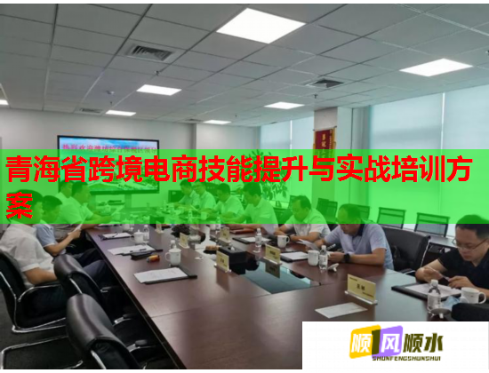 青海省跨境电商技能提升与实战培训方案 青海省跨境电商技能提升与实战培训方案
