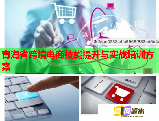 青海省跨境电商技能提升与实战培训方案 青海省跨境电商技能提升与实战培训方案