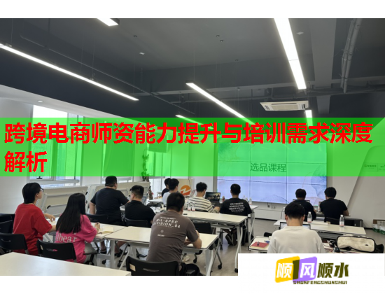 跨境电商师资能力提升与培训需求深度解析 跨境电商师资能力提升与培训需求深度解析