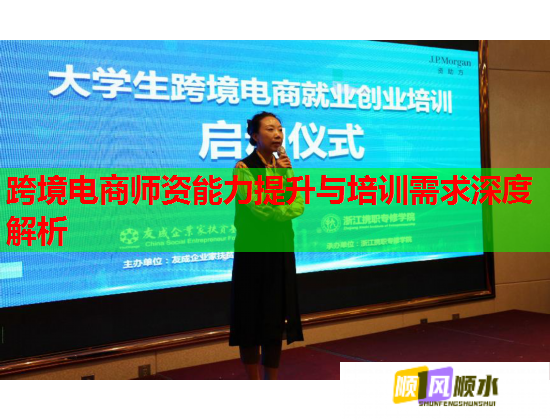 跨境电商师资能力提升与培训需求深度解析 跨境电商师资能力提升与培训需求深度解析