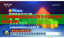 宁河跨境电商实战培训助力企业全球市场拓展方案