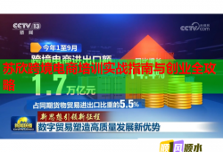 苏欣跨境电商培训实战指南与创业全攻略