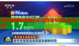 苏欣跨境电商培训实战指南与创业全攻略