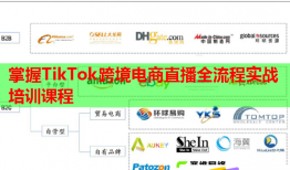 掌握TikTok跨境电商直播全流程实战培训课程