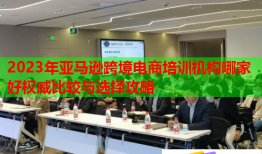 2023年亚马逊跨境电商培训机构哪家好权威比较与选择攻略