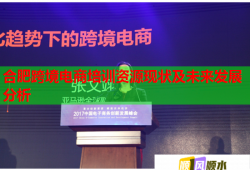 合肥跨境电商培训资源现状及未来发展分析