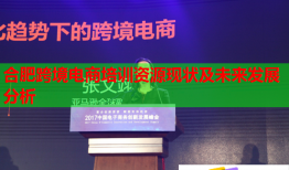 合肥跨境电商培训资源现状及未来发展分析
