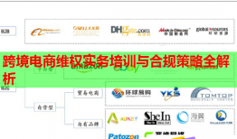 跨境电商维权实务培训与合规策略全解析