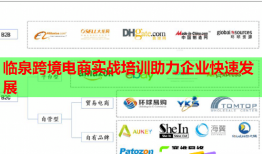 临泉跨境电商实战培训助力企业快速发展