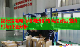揭秘跨境电商培训班价格高昂背后的真相与价值分析