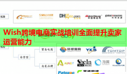 Wish跨境电商实战培训全面提升卖家运营能力