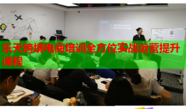 乐天跨境电商培训全方位实战运营提升课程