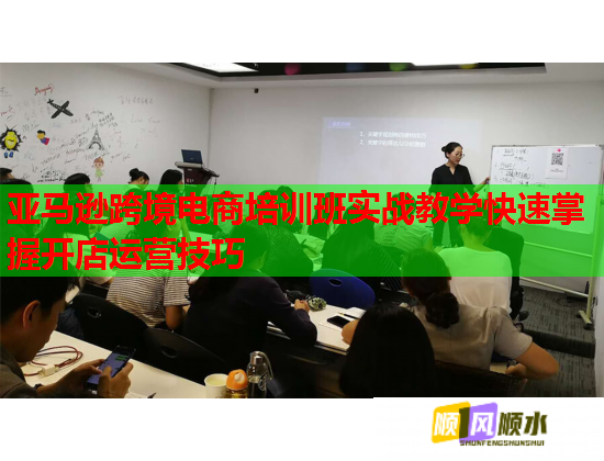 亚马逊跨境电商培训班实战教学快速掌握开店运营技巧