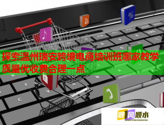 探索温州瑞安跨境电商培训班哪家教学质量优收费合理一点