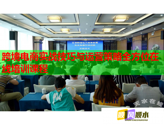 跨境电商实战技巧与运营策略全方位在线培训课程