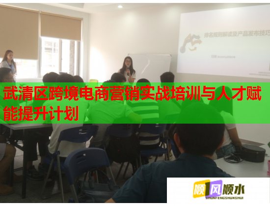 武清区跨境电商营销实战培训与人才赋能提升计划