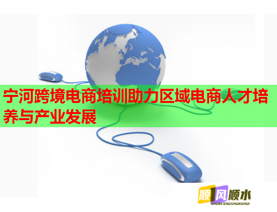 宁河跨境电商培训助力区域电商人才培养与产业发展
