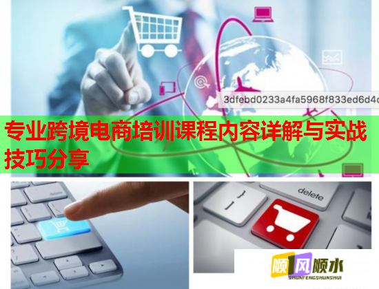 专业跨境电商培训课程内容详解与实战技巧分享