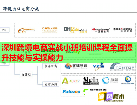深圳跨境电商实战小班培训课程全面提升技能与实操能力