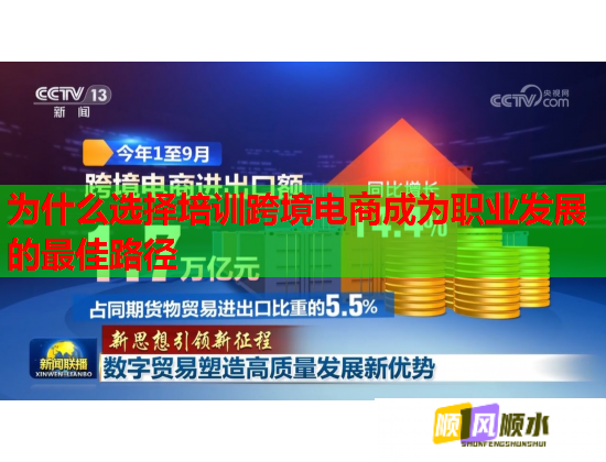 为什么选择培训跨境电商成为职业发展的最佳路径