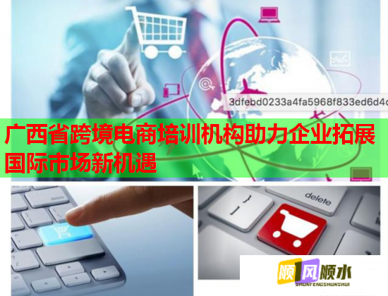广西省跨境电商培训机构助力企业拓展国际市场新机遇