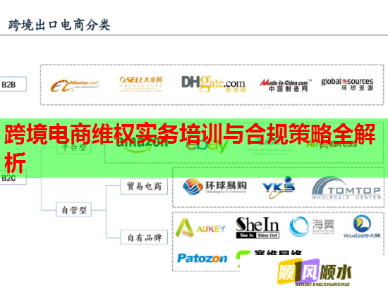 跨境电商维权实务培训与合规策略全解析