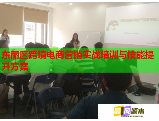东丽区跨境电商营销实战培训与技能提升方案