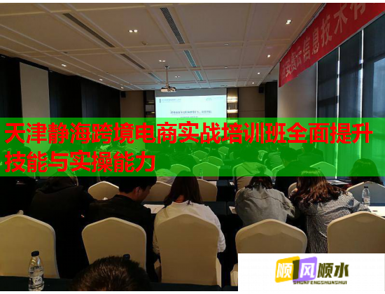 天津静海跨境电商实战培训班全面提升技能与实操能力