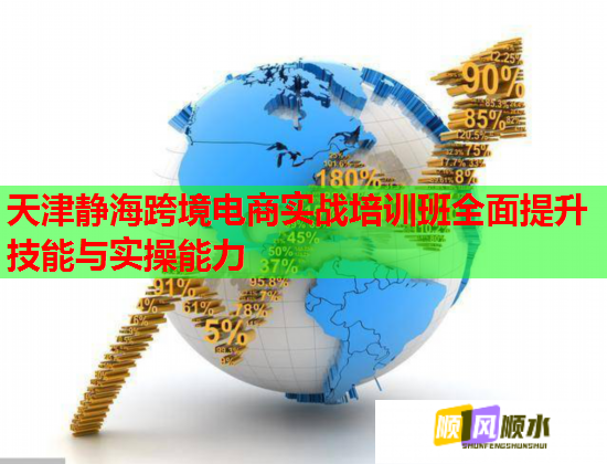 天津静海跨境电商实战培训班全面提升技能与实操能力