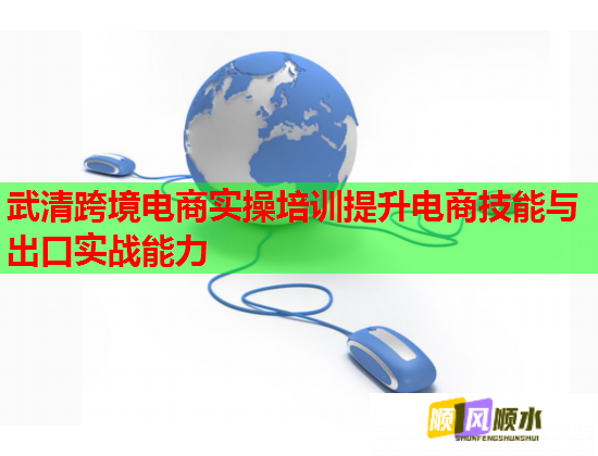 武清跨境电商实操培训提升电商技能与出口实战能力