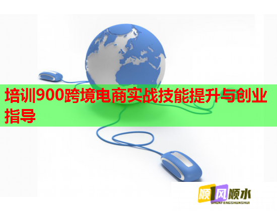培训900跨境电商实战技能提升与创业指导