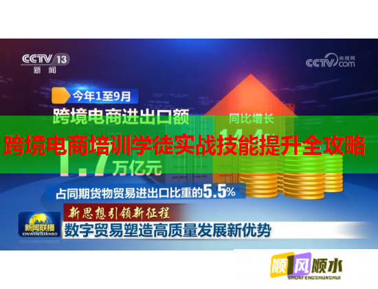 跨境电商培训学徒实战技能提升全攻略