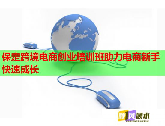 保定跨境电商创业培训班助力电商新手快速成长