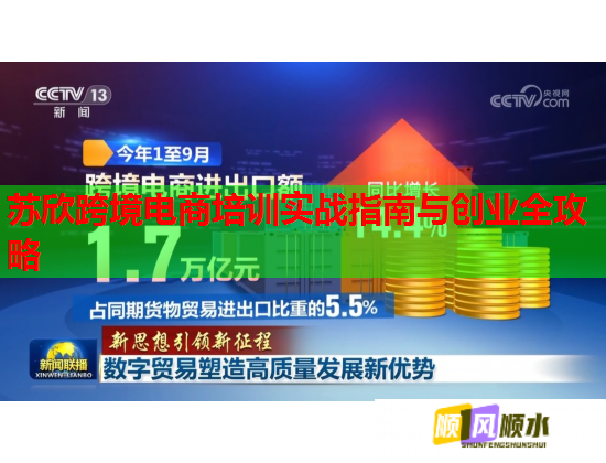 苏欣跨境电商培训实战指南与创业全攻略