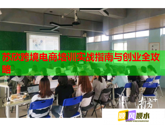 苏欣跨境电商培训实战指南与创业全攻略
