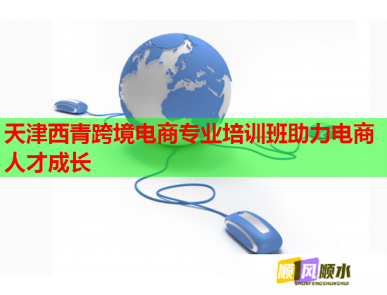 天津西青跨境电商专业培训班助力电商人才成长